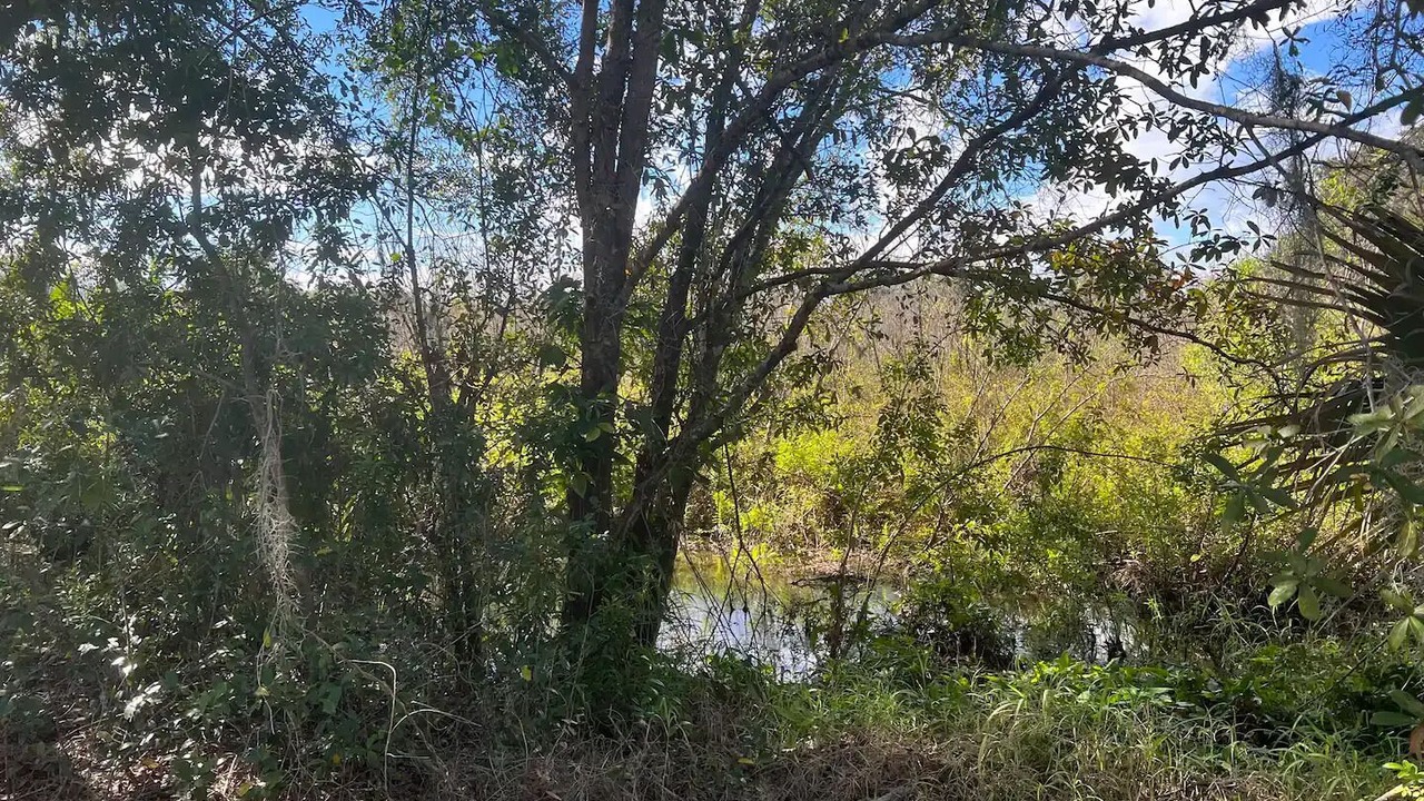 Photo of Others in Lake Alfred