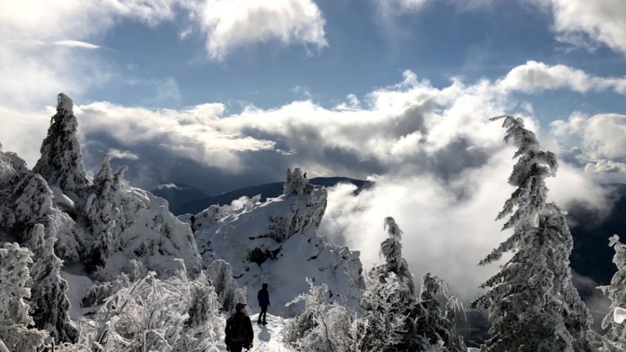 Photo of Others in North Bend