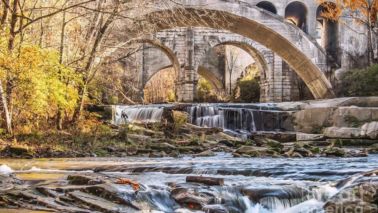 Photo of Others in Berea