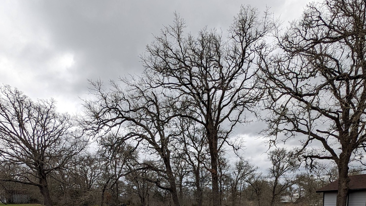 Photo of Others in Cedar Creek