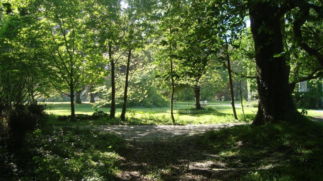 Photo of Outdoor in La Chapelle-sur-Dun
