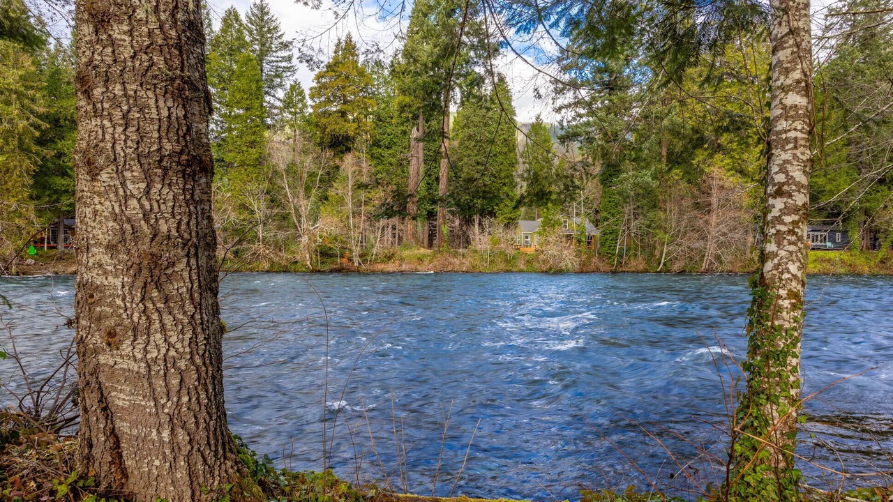 Photo of Others in McKenzie Bridge