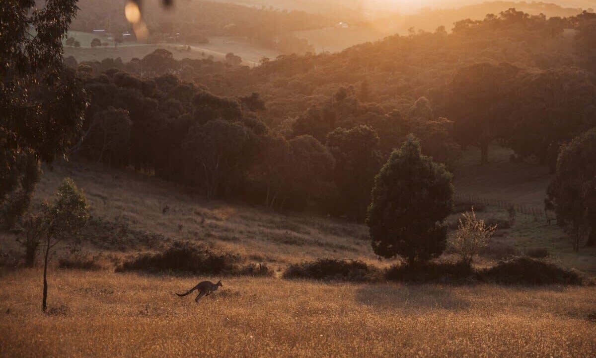 Photo of Others in Whittlesea