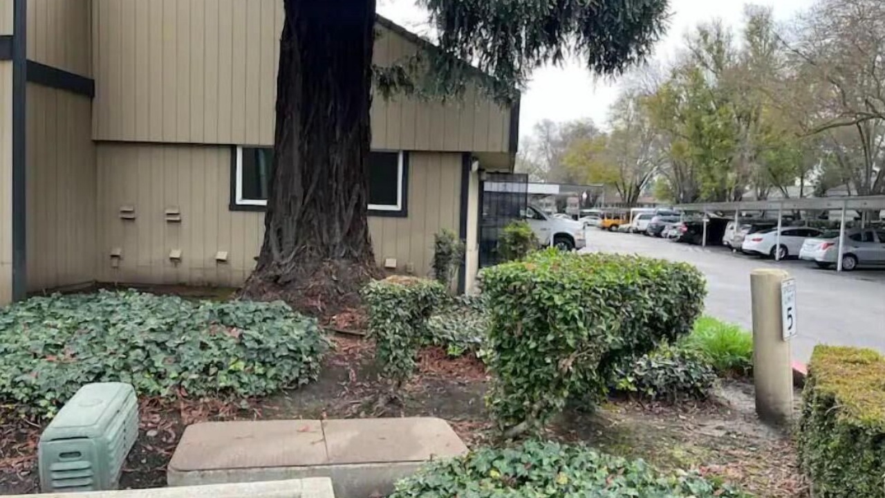 Photo of Outdoor in Stockton