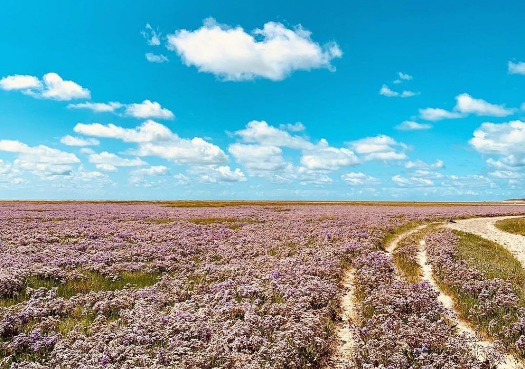 Photo of Outdoor in Le Crotoy