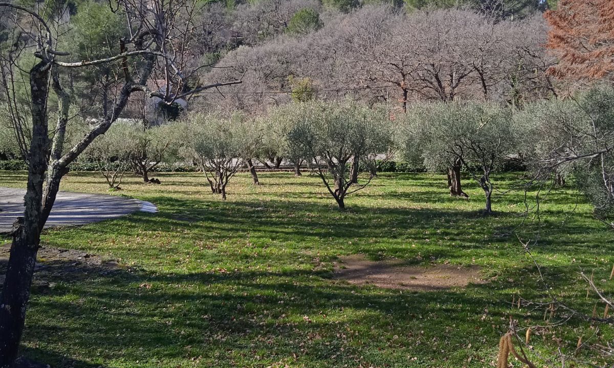 Photo of Outdoor in Evenos