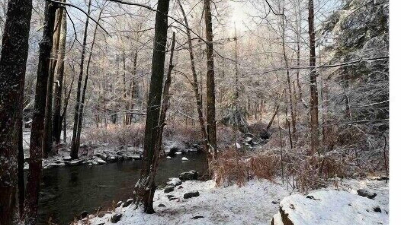 Photo of Outdoor in Lake George