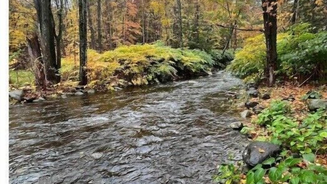 Photo of Outdoor in Lake George