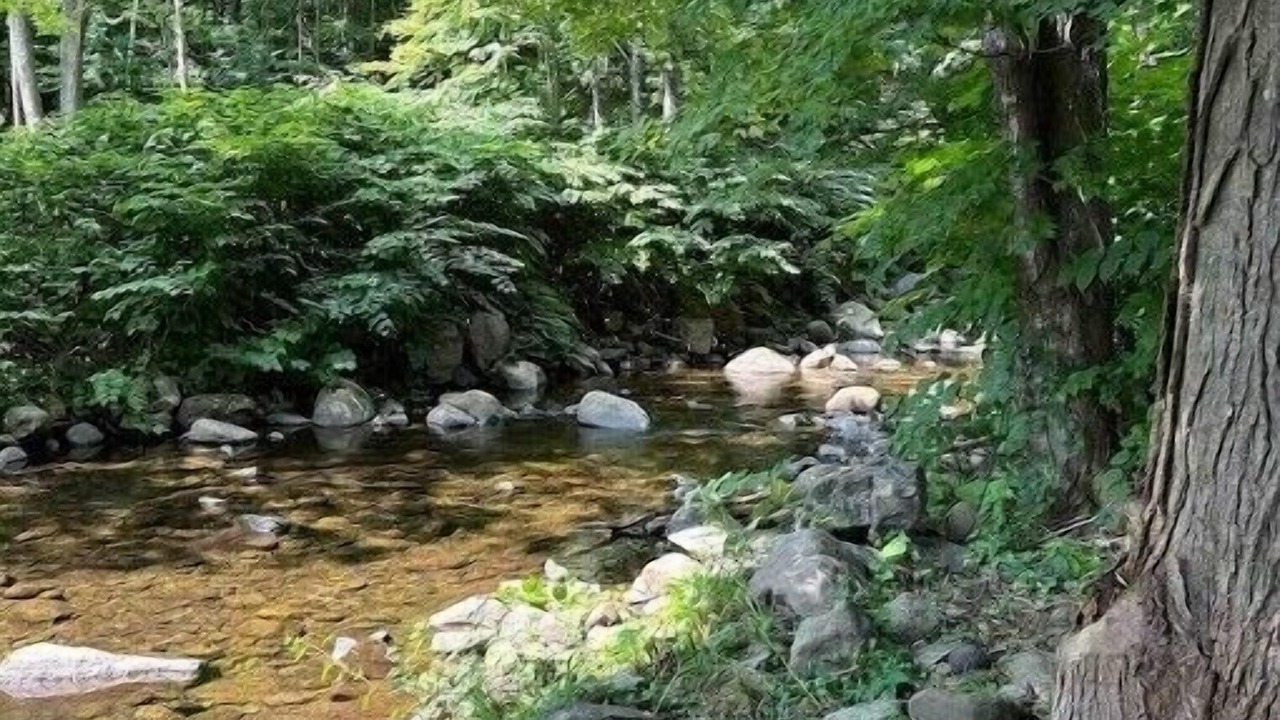 Photo of Others in Lake George