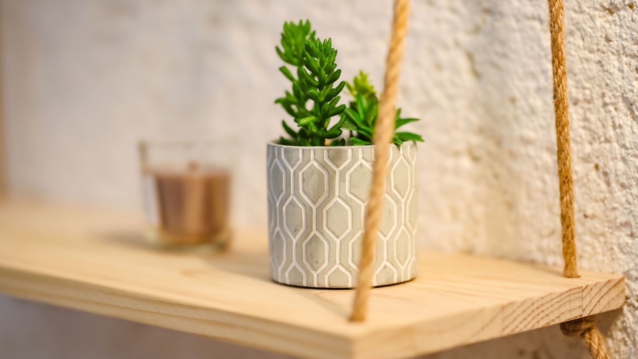 Photo of Others in Castelnau-de-Montmiral