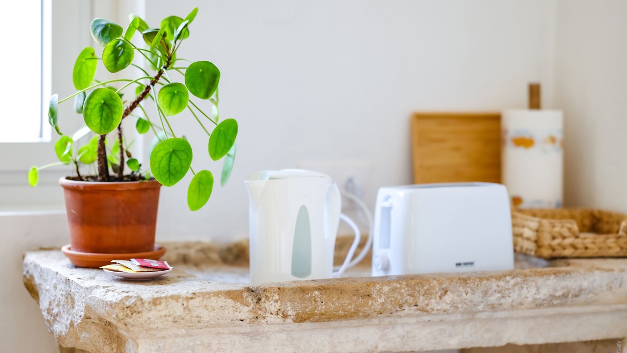 Photo of Others in Castelnau-de-Montmiral