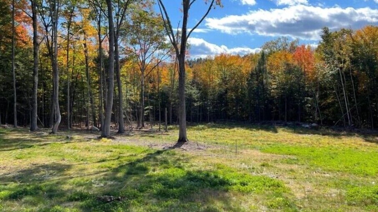 Photo of Others in Plymouth