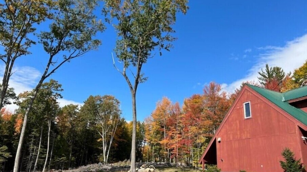 Photo of Others in Plymouth