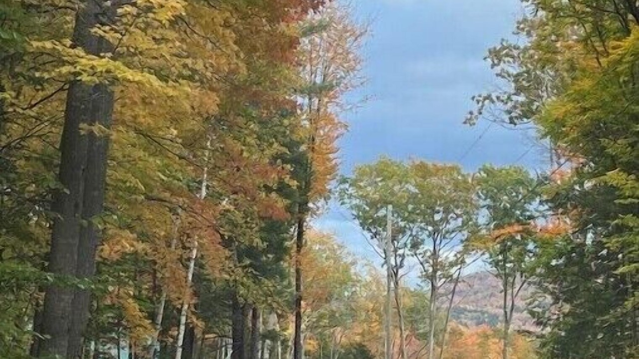 Photo of Others in Plymouth