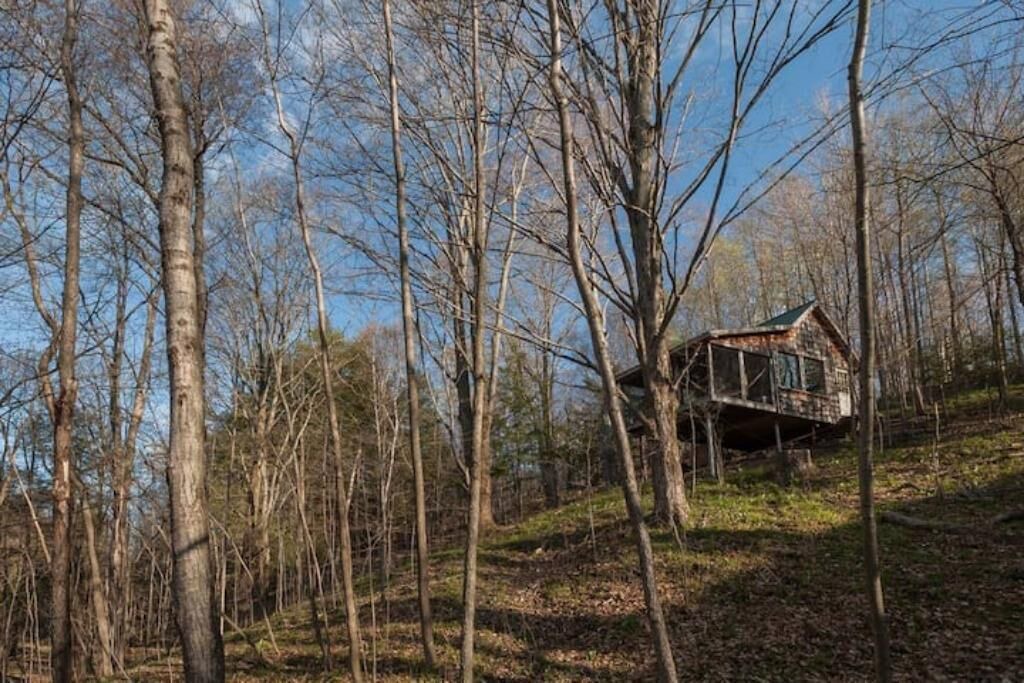 Photo of Outdoor in Scugog