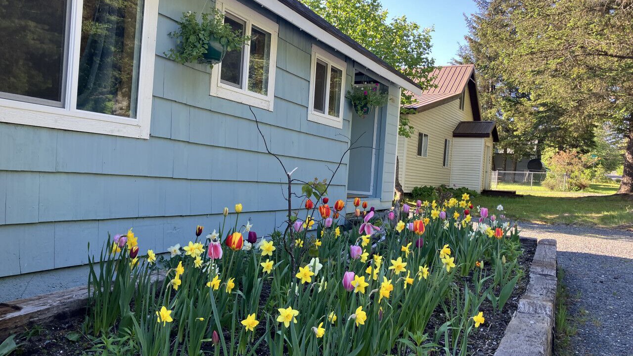 Photo of Outdoor in Seward