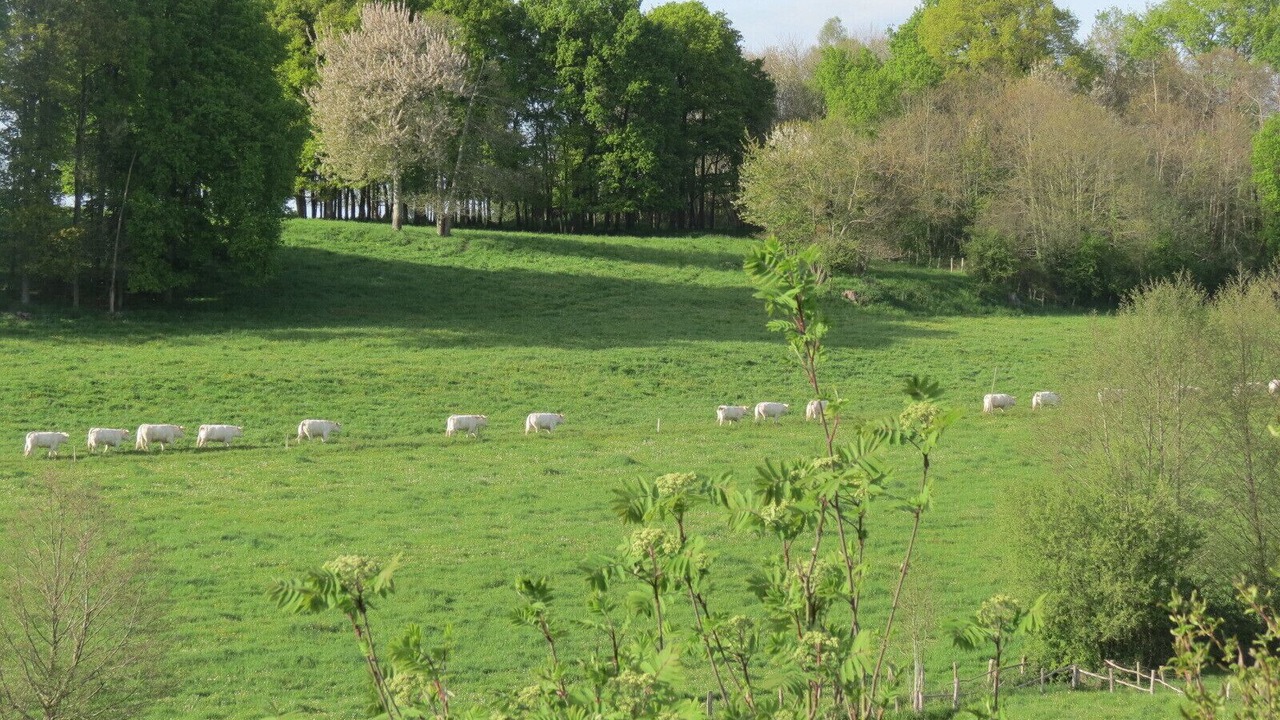Photo of Others in Clermont-Creans