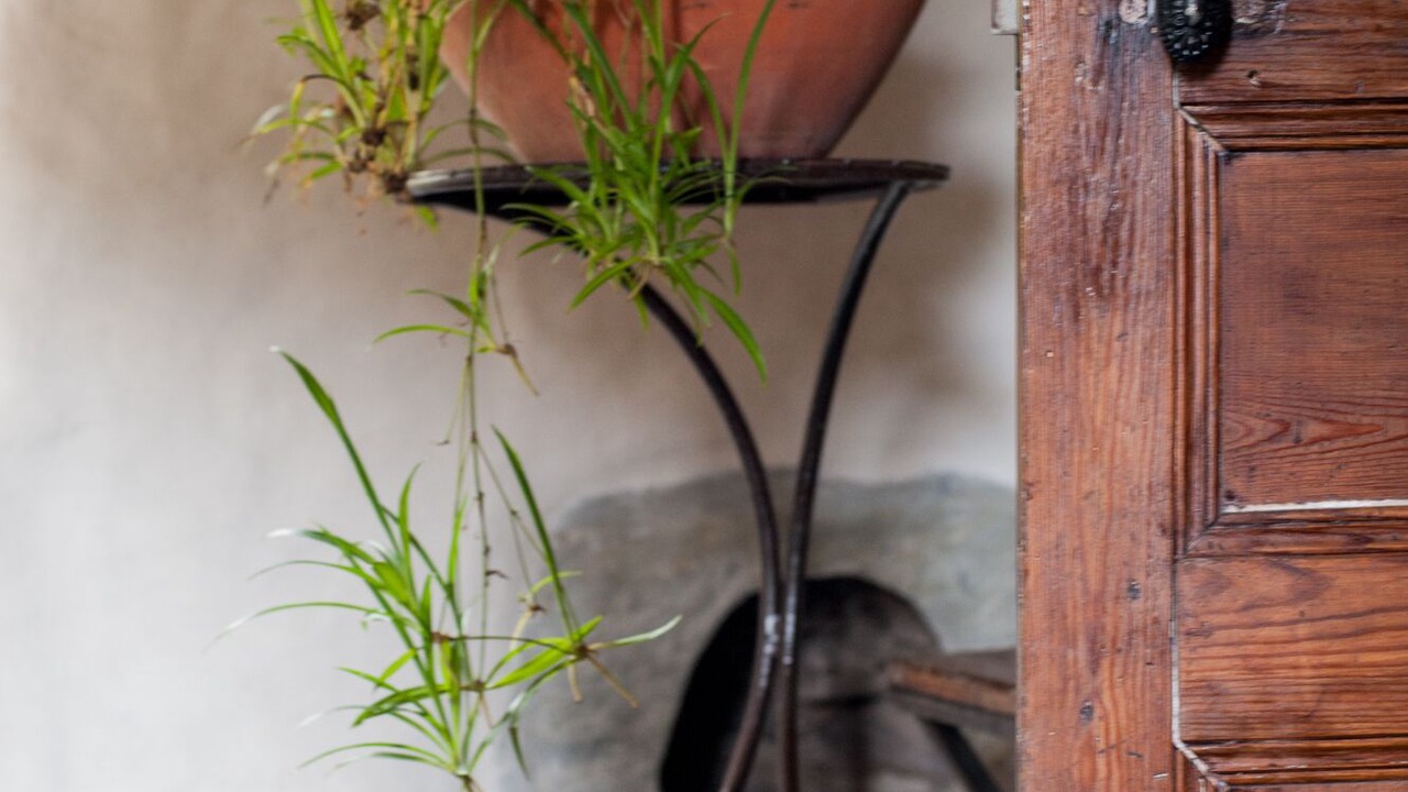 Photo of Others in Soustelle