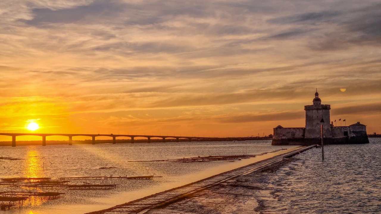 Photo of Others in Saint-Savinien