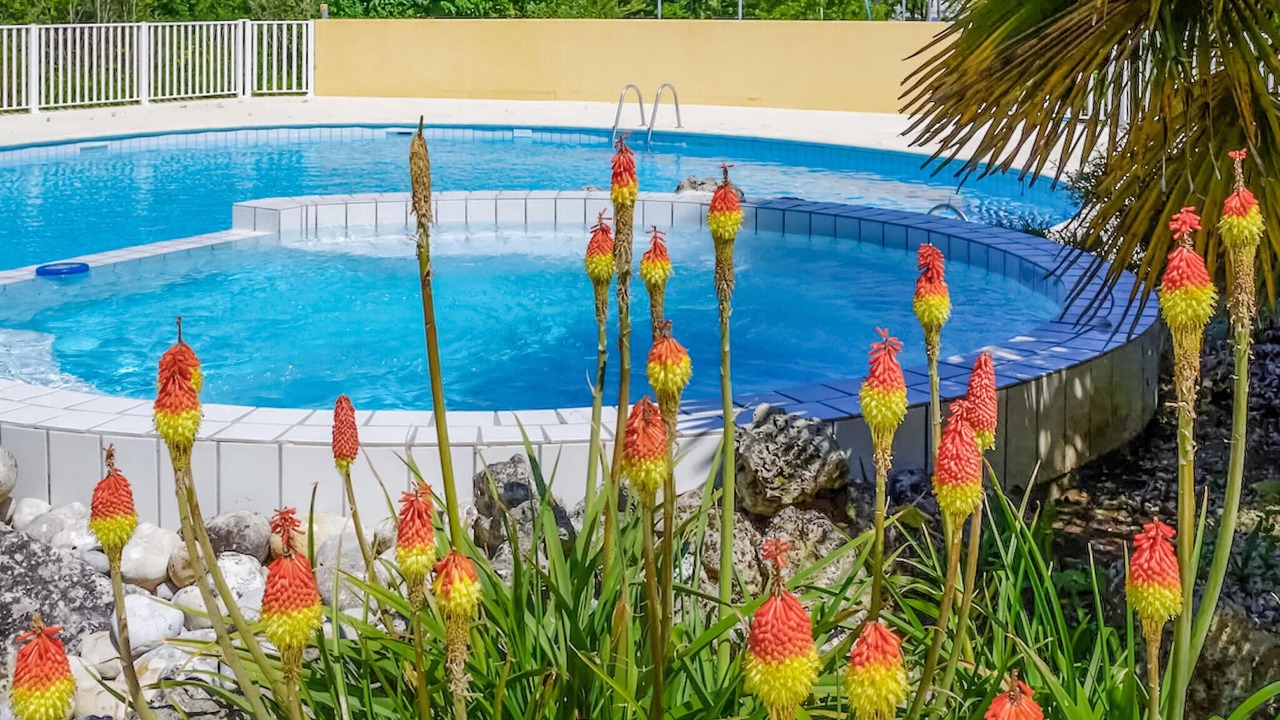 Photo of Outdoor in Saint-Savinien