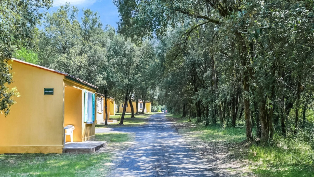 Photo of Others in Saint-Savinien