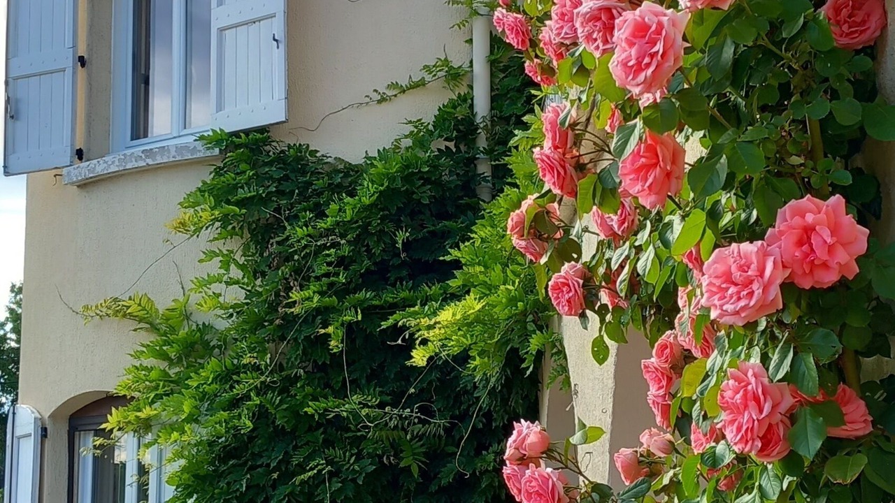 Photo of Outdoor in Ales