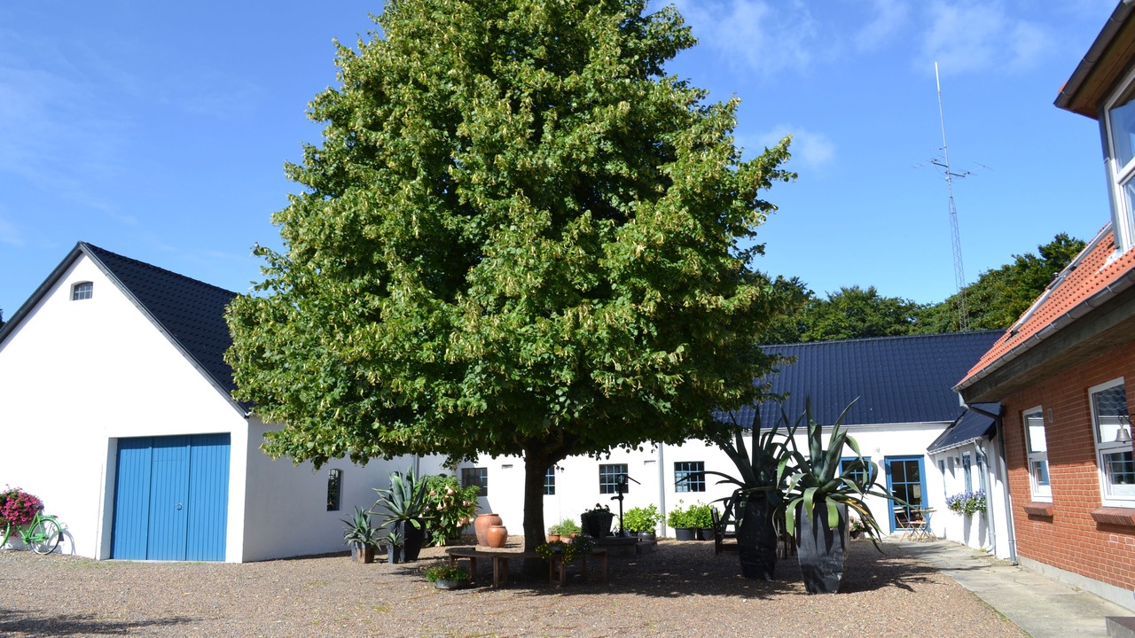 Photo of Outdoor in Skals