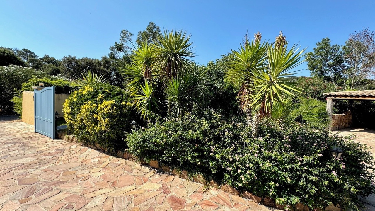 Photo of Outdoor in Porto-Vecchio