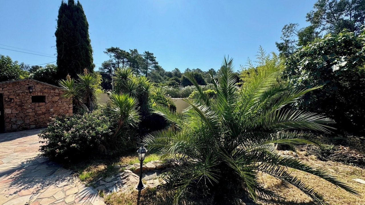 Photo of Outdoor in Porto-Vecchio