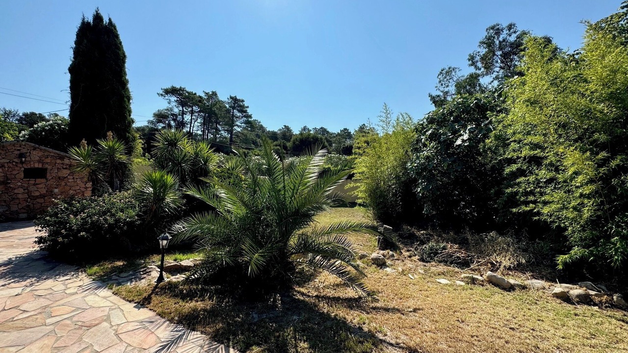 Photo of Outdoor in Porto-Vecchio