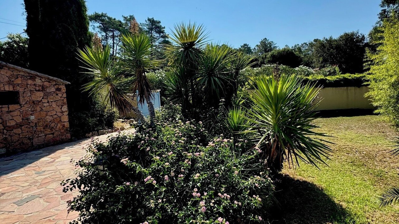 Photo of Outdoor in Porto-Vecchio