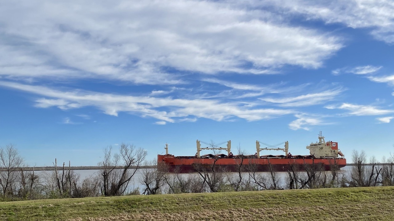 Photo of Others in Boothville-Venice