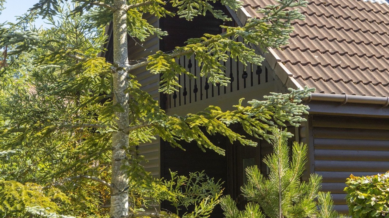 Photo of Outdoor in Drymen