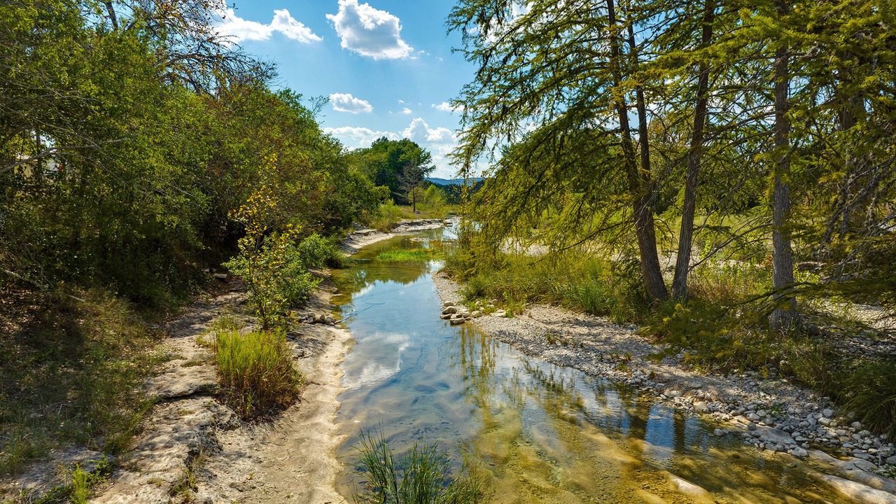 Photo of Others in Leakey