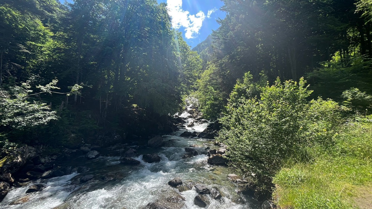 Photo of Others in Cauterets