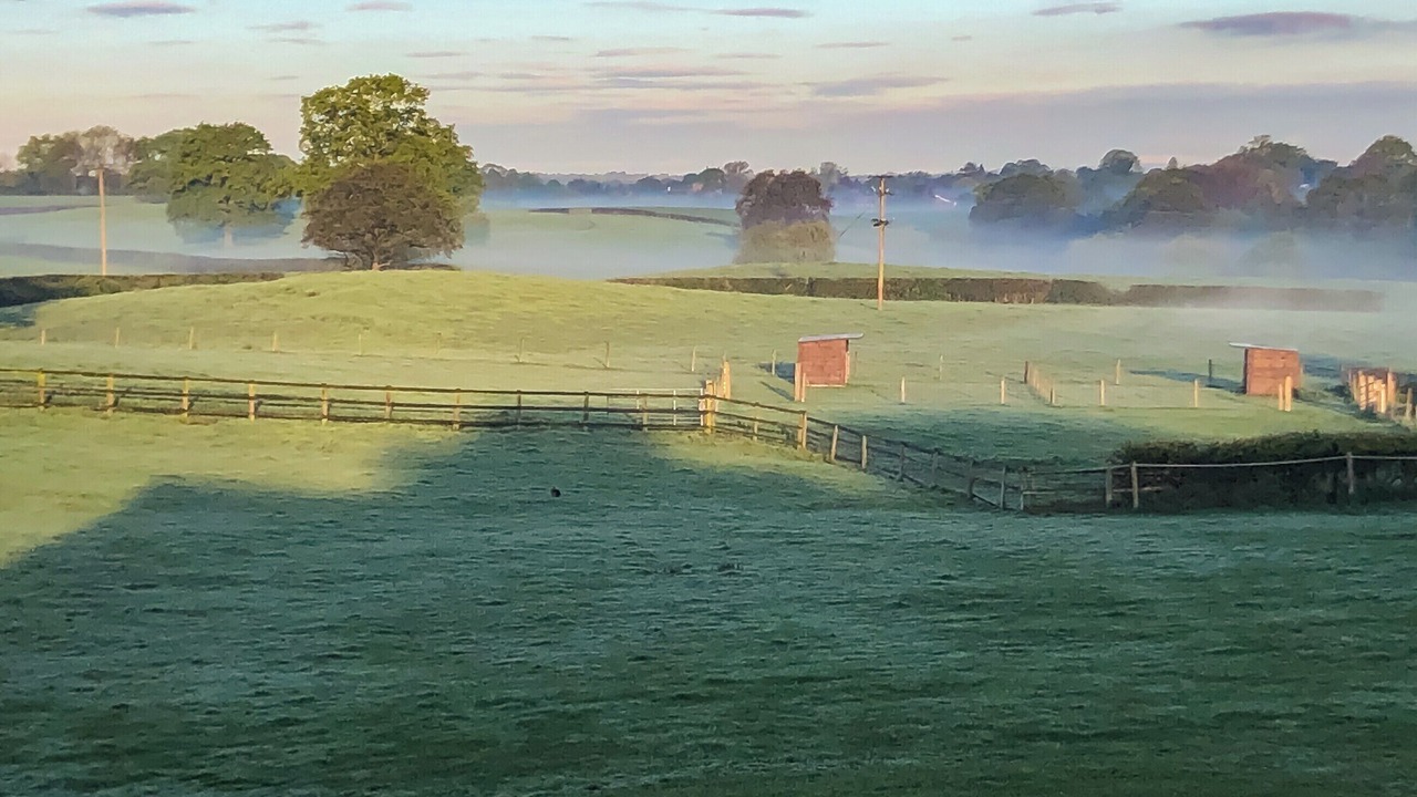 Photo of Others in Crewe