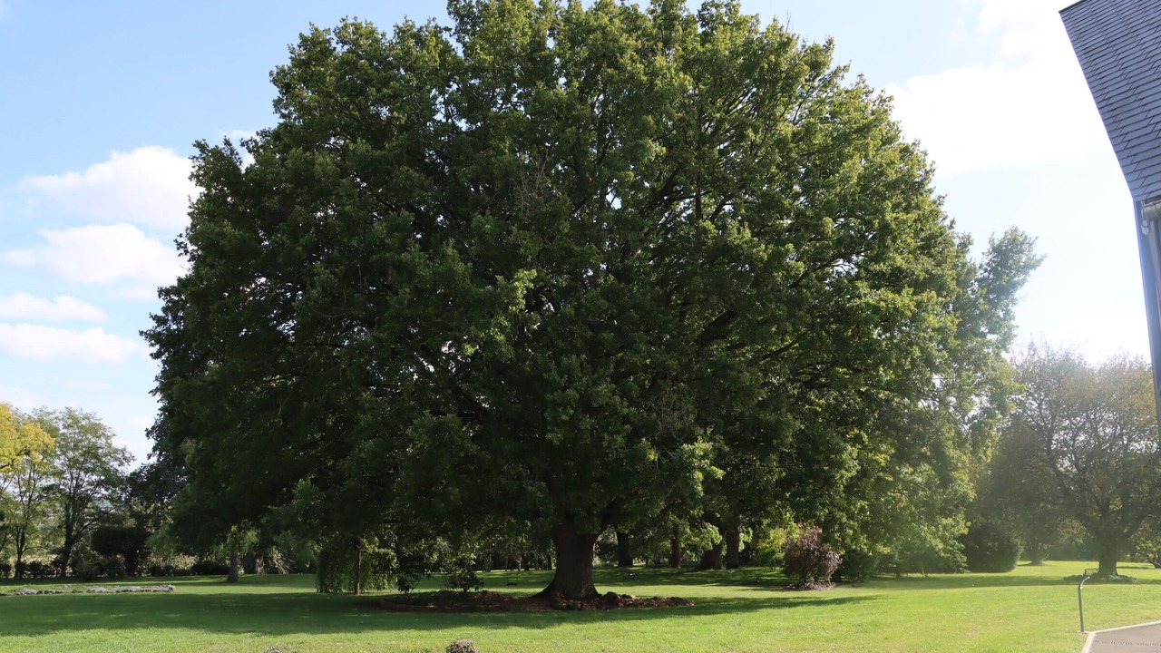 Photo of Outdoor in Soulitre