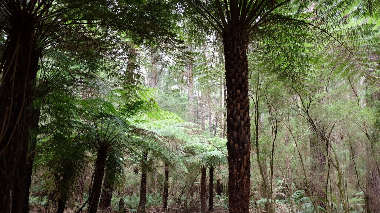 Photo of Outdoor in Gilderoy