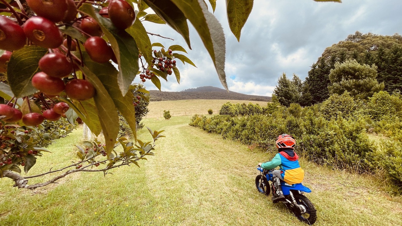 Photo of Outdoor in Gilderoy