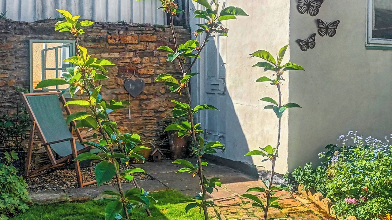 Photo of Outdoor in North Bitchburn