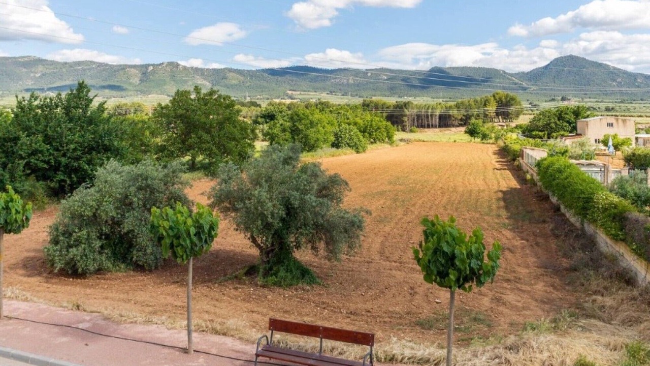 Photo of Others in Beneixama