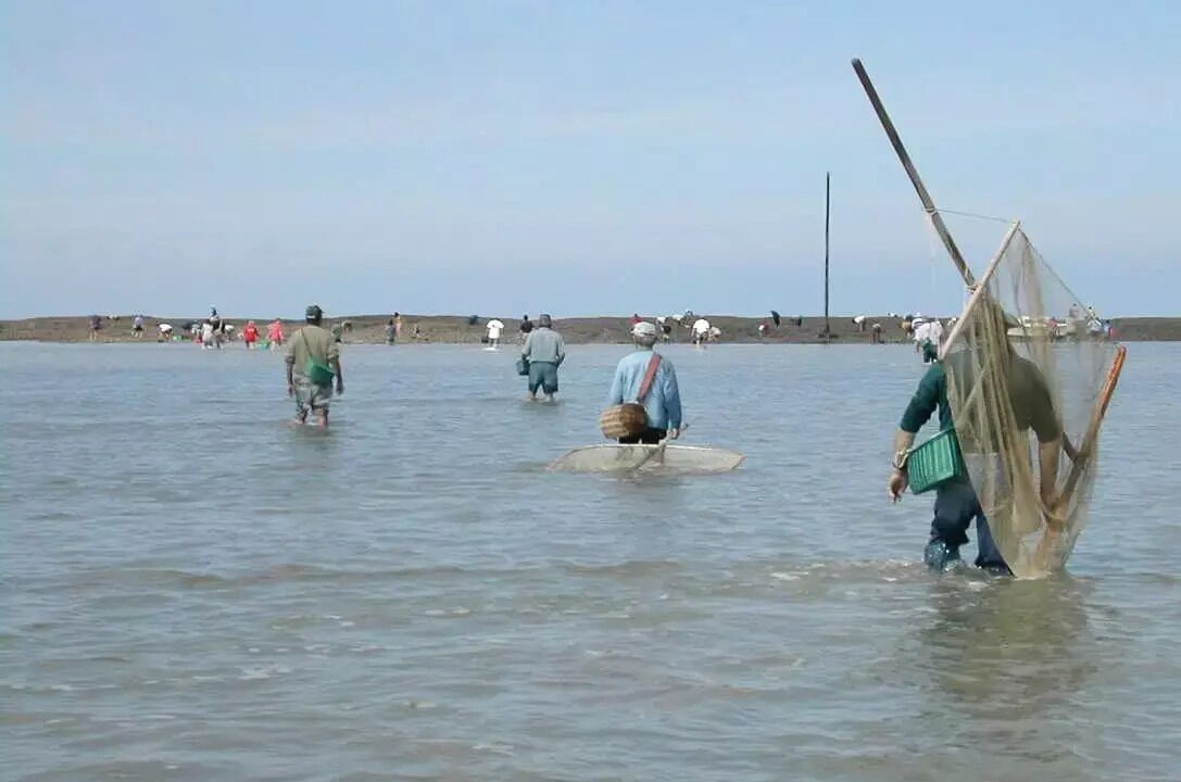 Photo of Others in La Bernerie-en-Retz