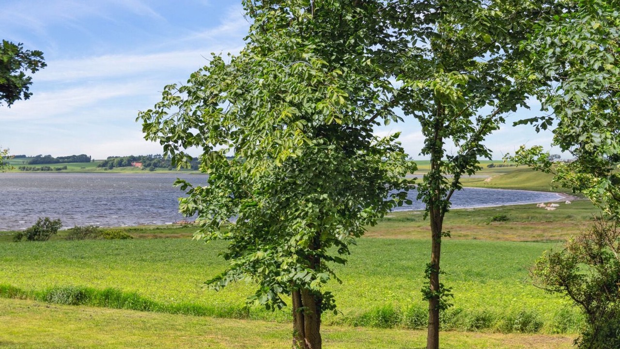 Photo of Others in Redsted