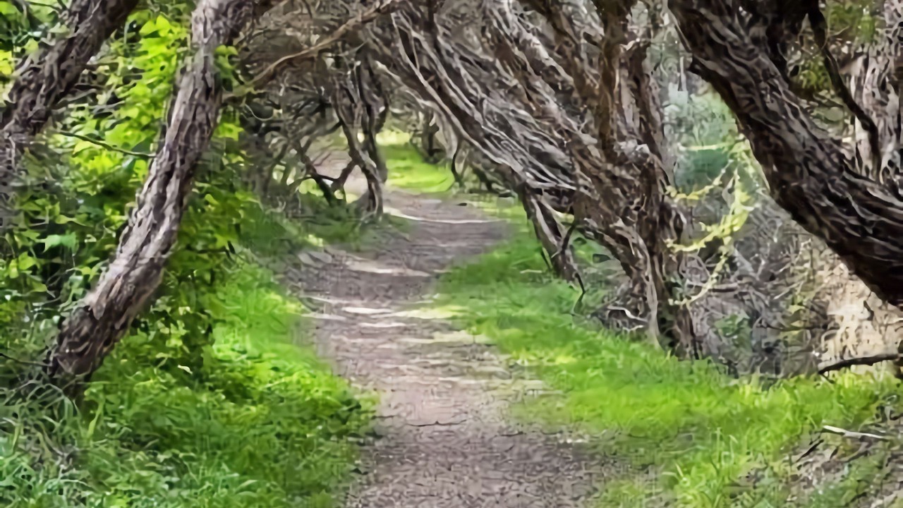 Photo of Others in Sandy Point