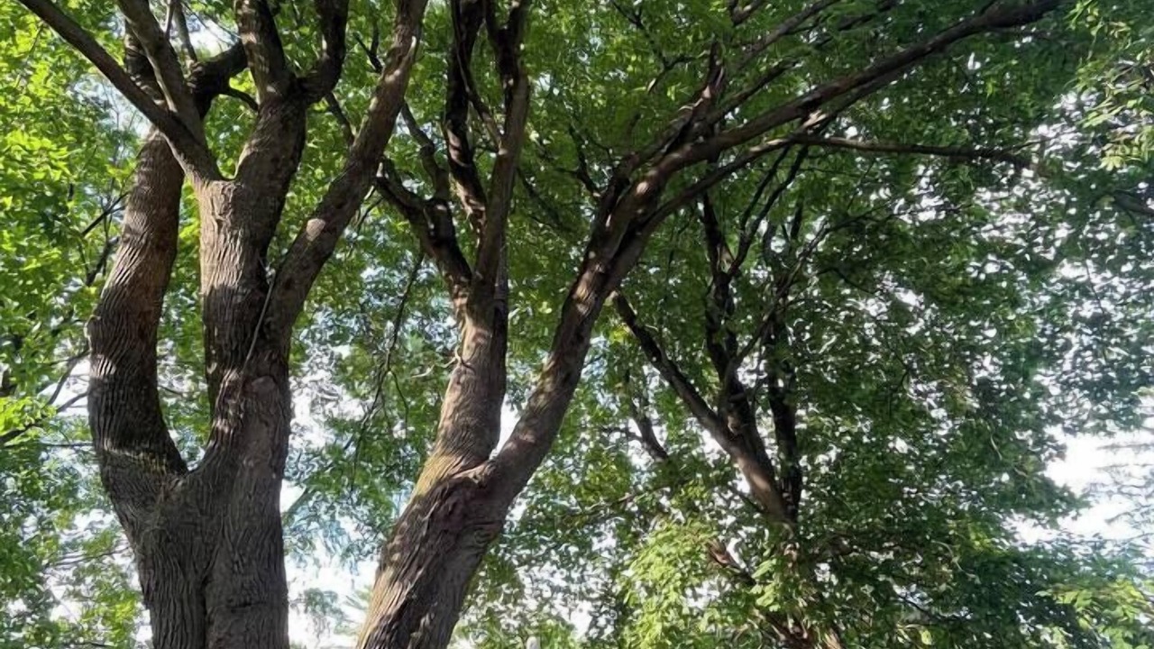 Photo of Others in Lee