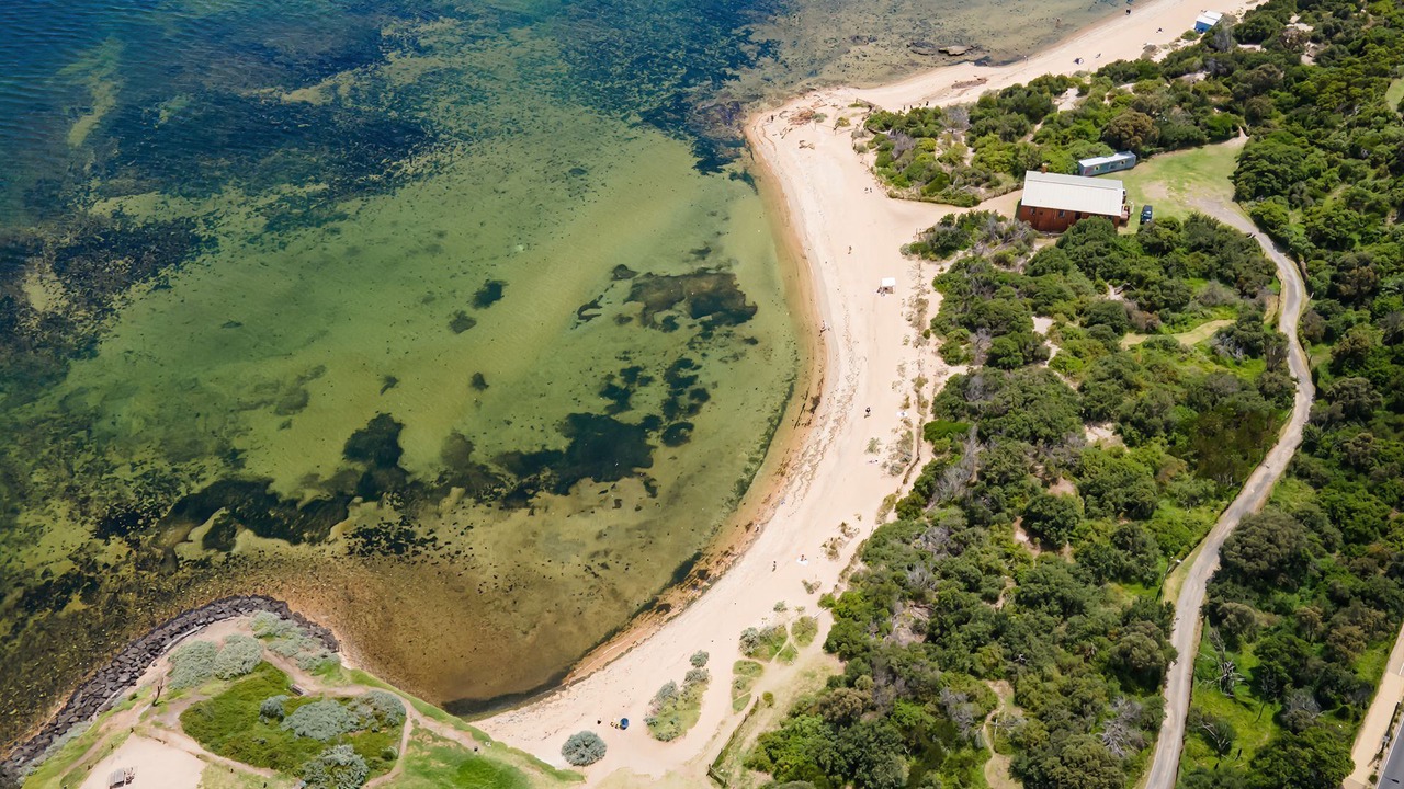 Photo of Others in Brighton