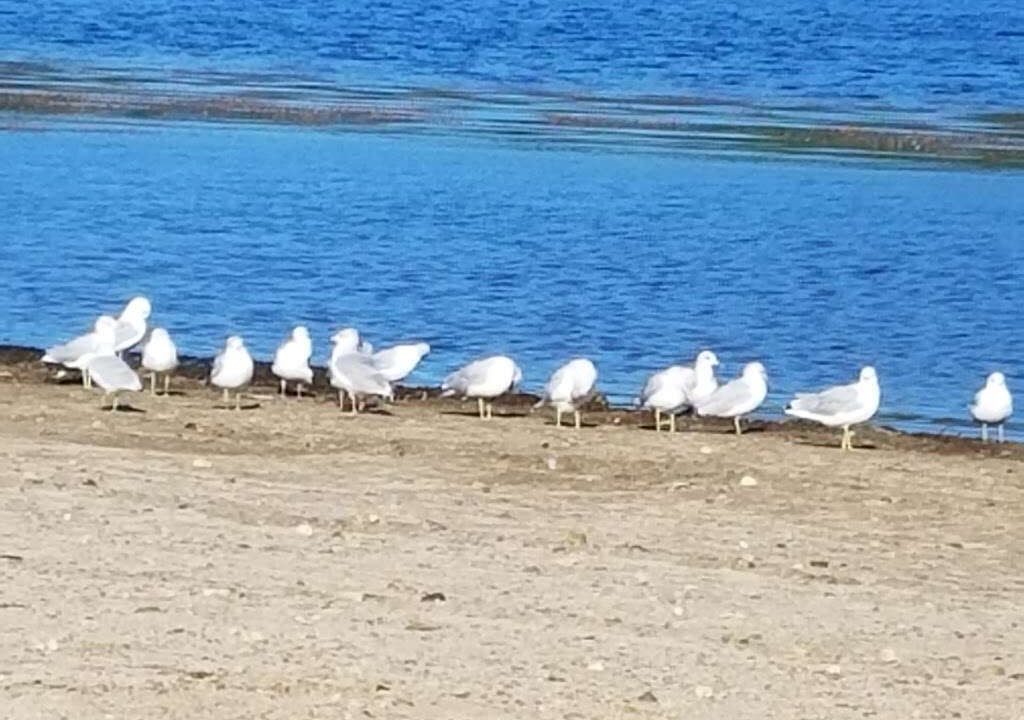 Photo of Others in Danbury