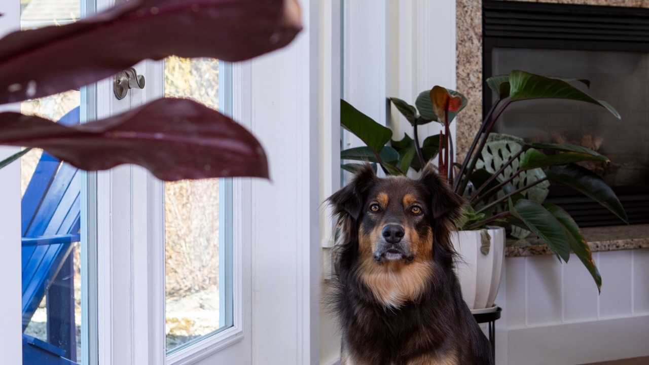 Photo of Others in Upper Blandford