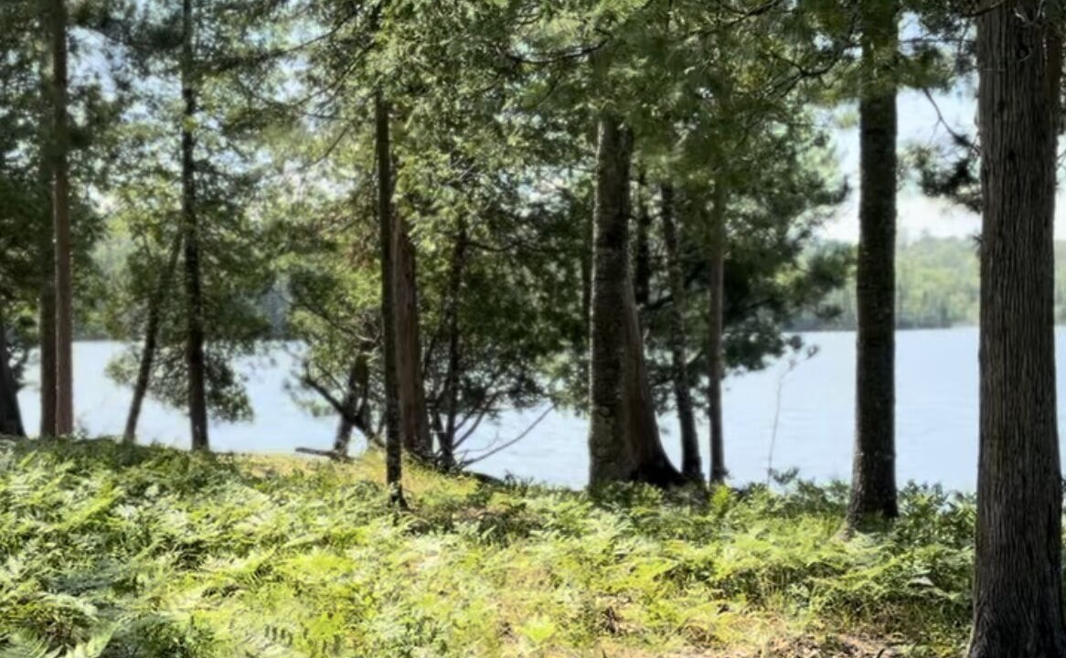 Photo of Outdoor in Ely