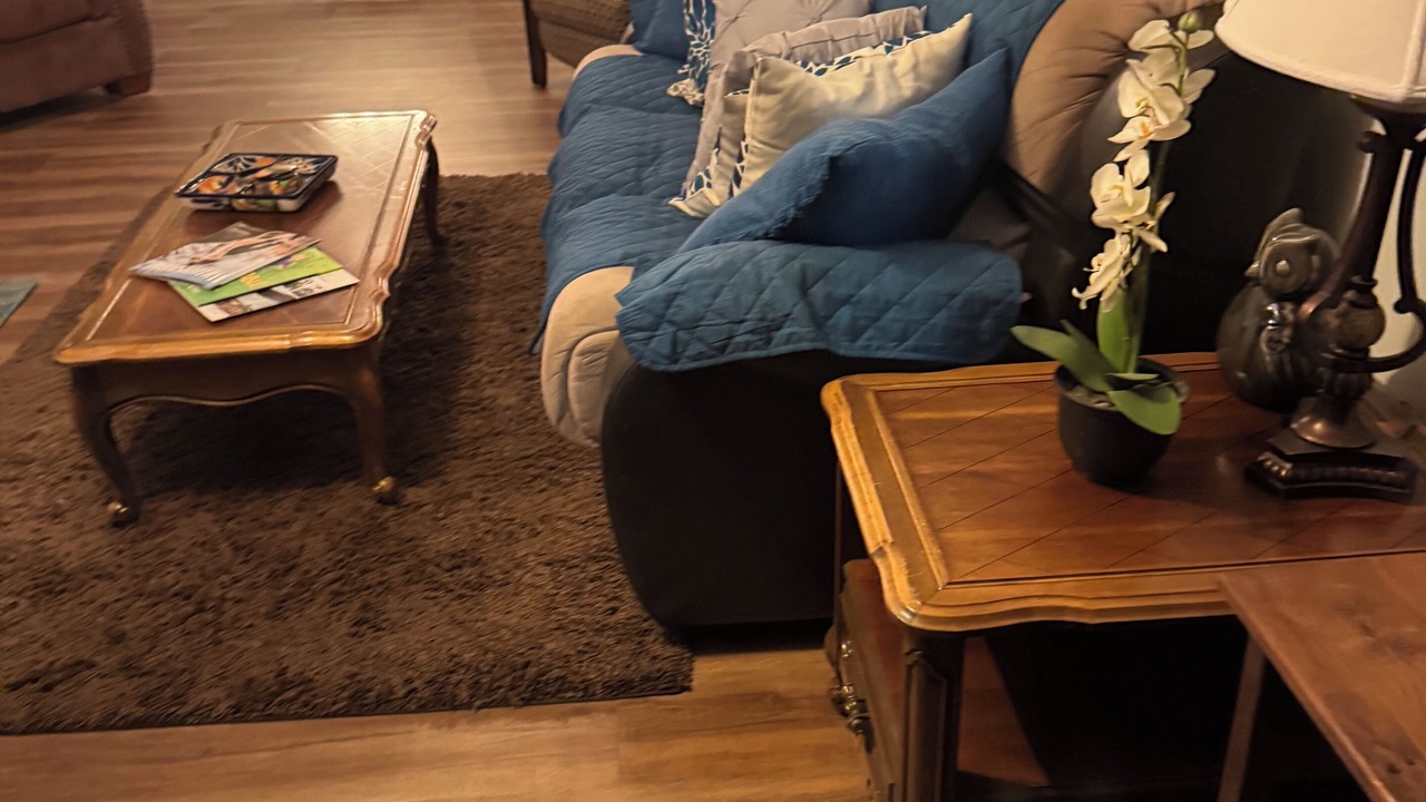 Photo of Livingroom in North Chesterfield